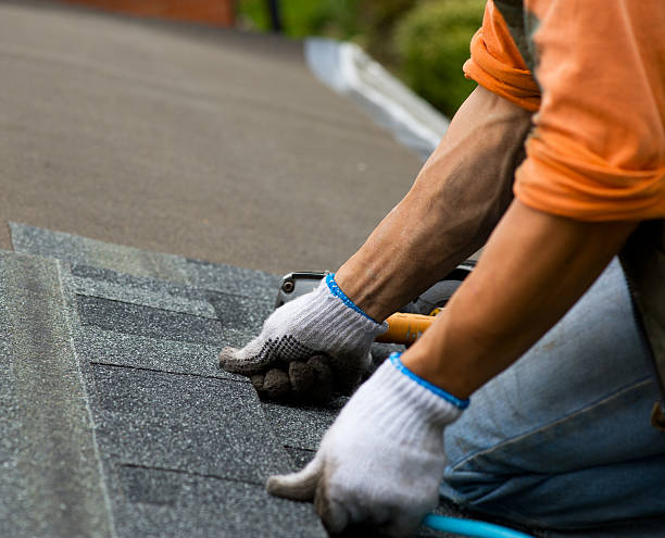 Best Roof Gutter Cleaning  in Ridge Manor, FL